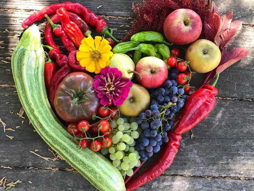 produce arrangement at Sonoma County Farm Trails