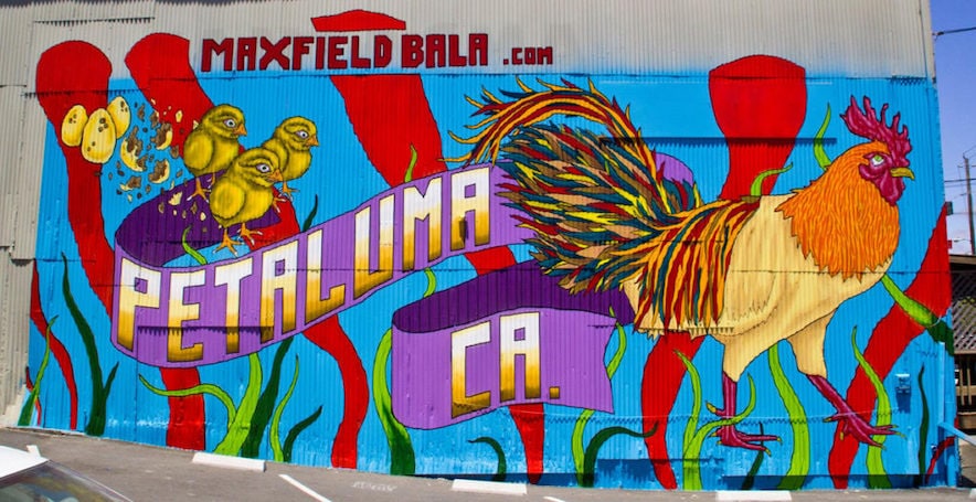 Petaluma's chicken mural at 226 Petaluma Blvd. N