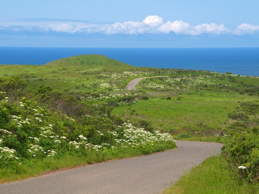 Picture of road going down to ocean