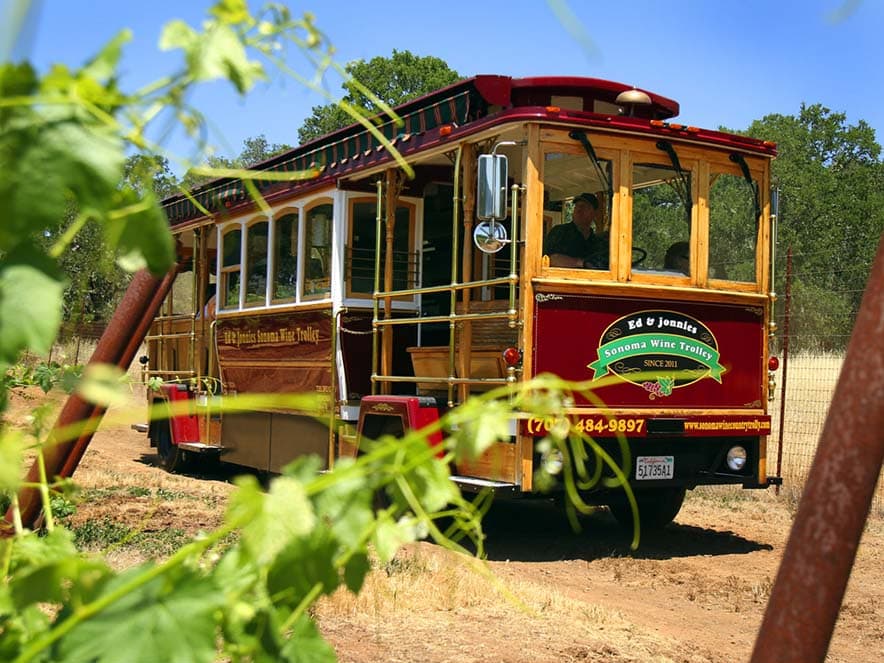 wine trolley in the vineyards