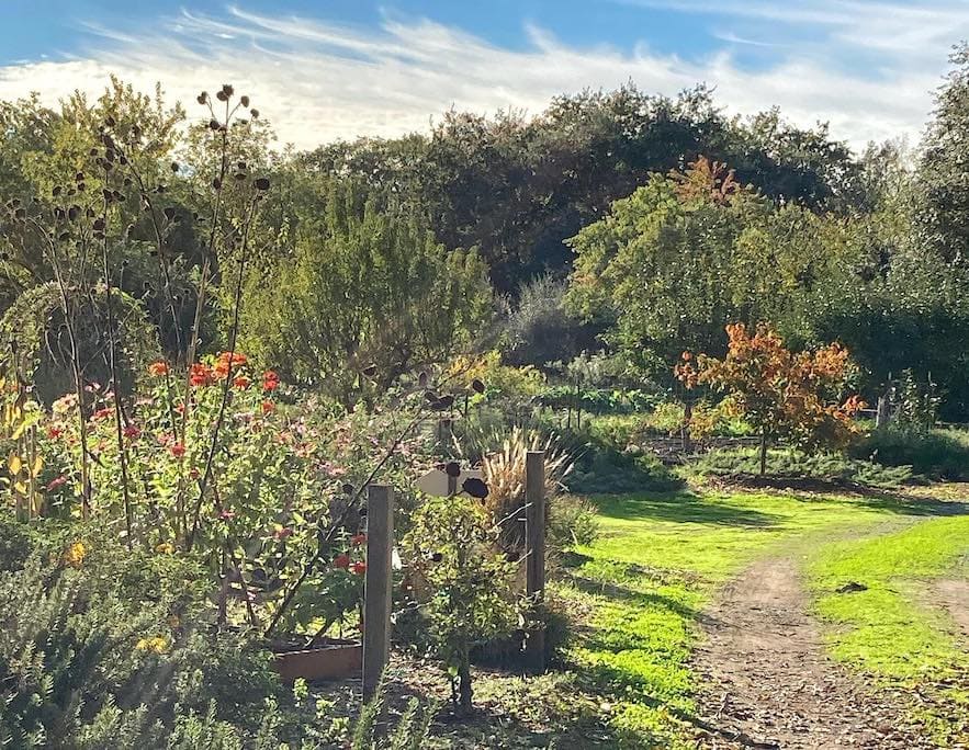 Sonoma Garden Park