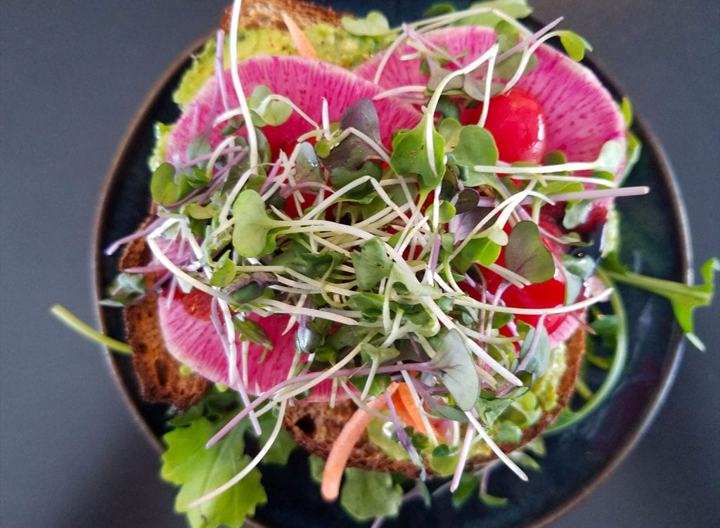 Rainbow Avocado Toast at Brew in Santa Rosa—Photo by Heather Irwin