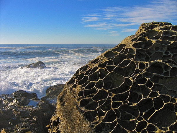 salt point state park