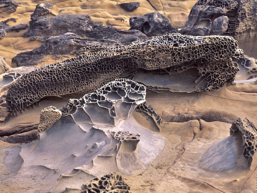 Tafoni pattern in sandstone at Salt Point State Park