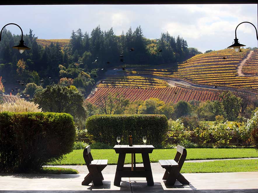 two chairs and a table over looking vineyards