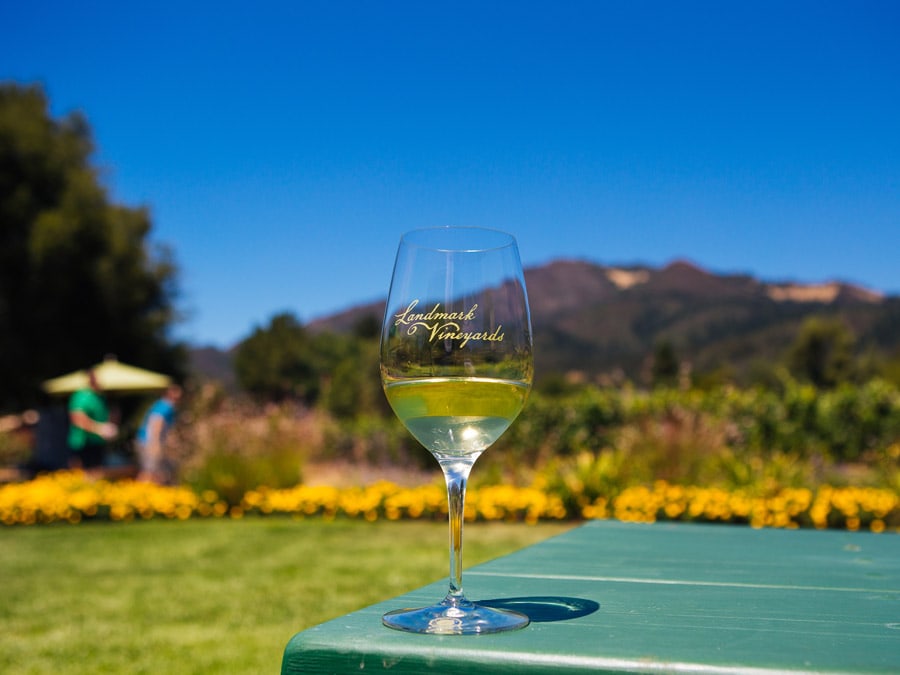 A glass of white wine on a table with a mountain in the background