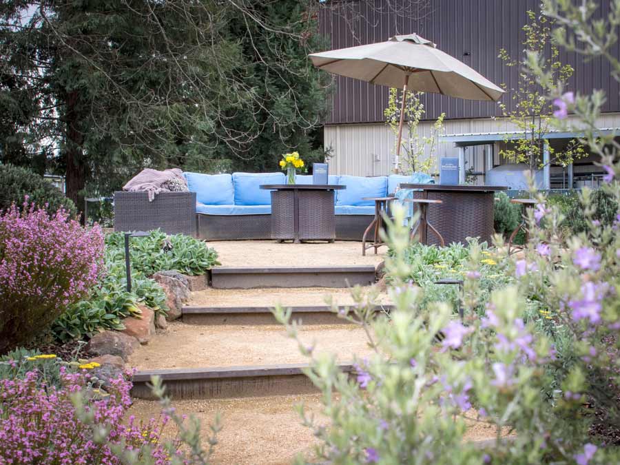 An umbrella and an outdoor sofa surrounded by plants