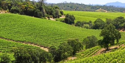 Healdsburg - Sonoma County Tourism