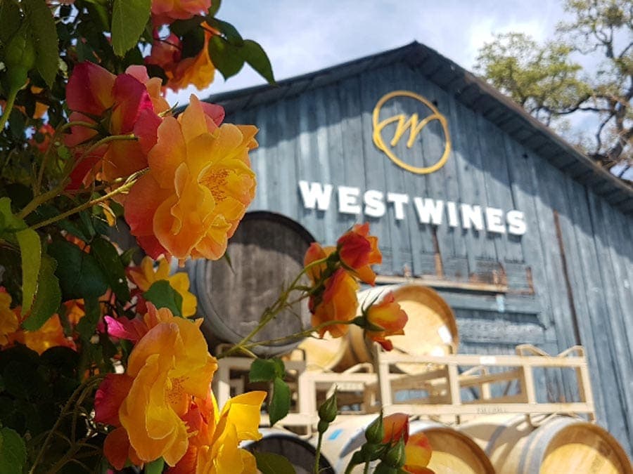 Roses bloom in front of a rustic barn