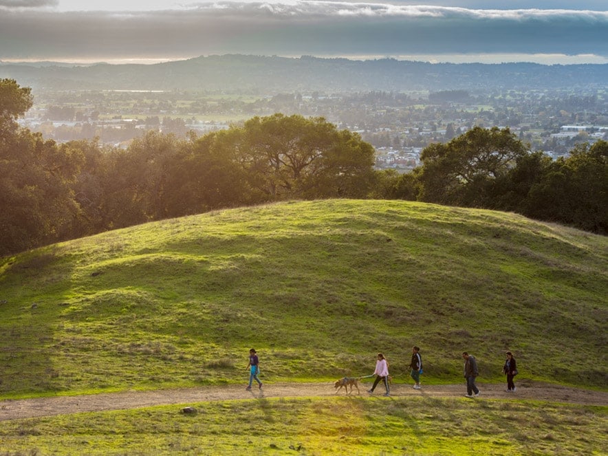 People walk along a green hill