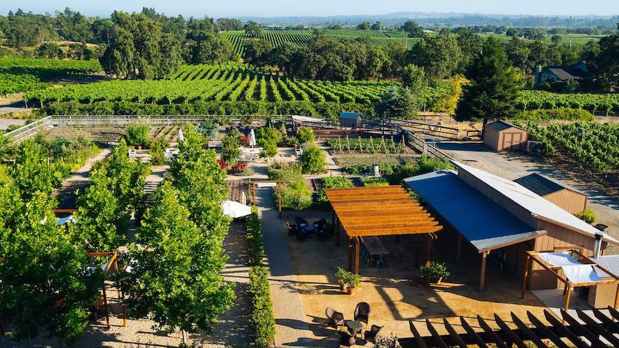 Aerial view of DeLoach Vineyards in the Russian River Valley