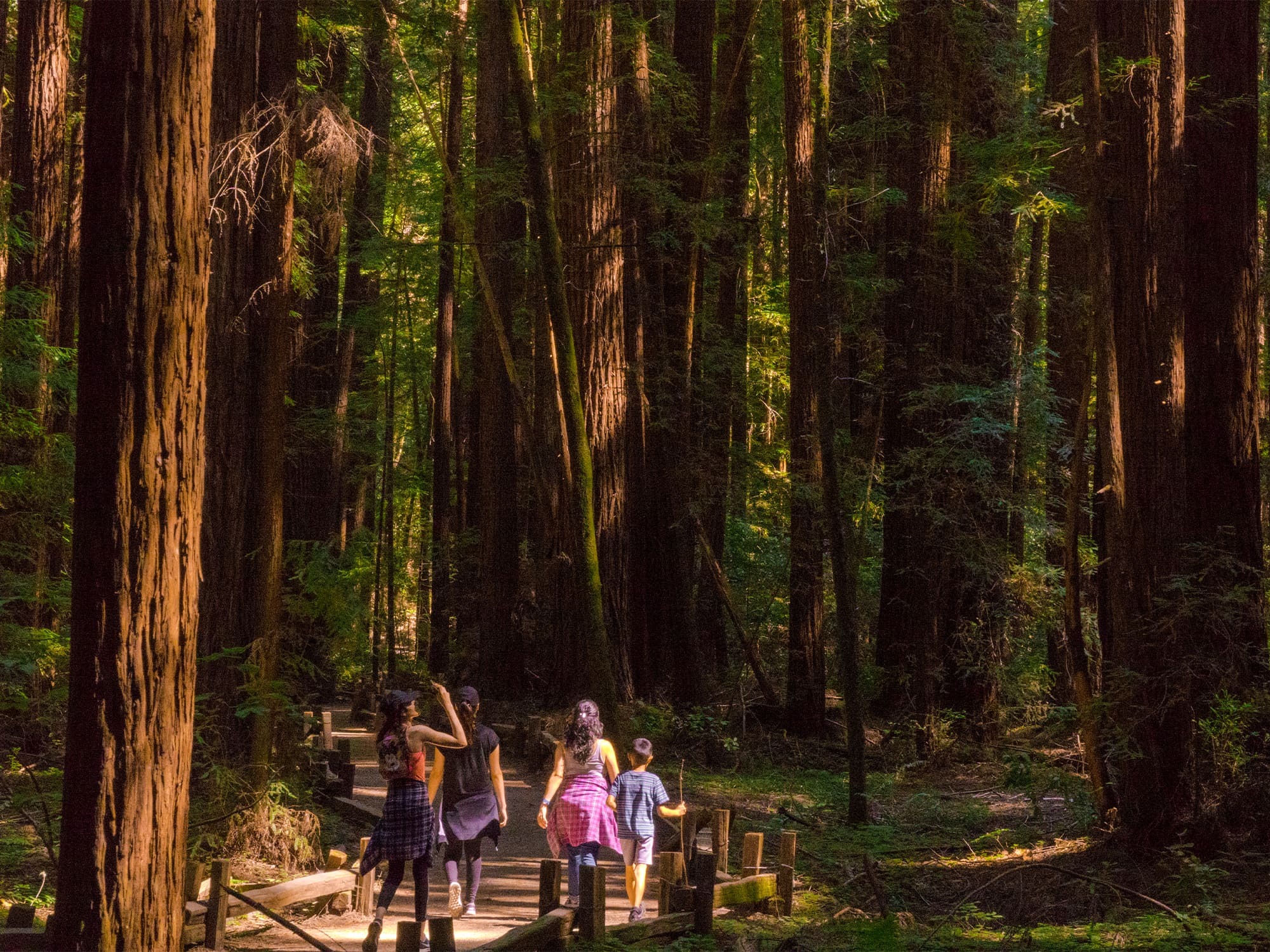 Hiking & Walking - Sonoma County Tourism