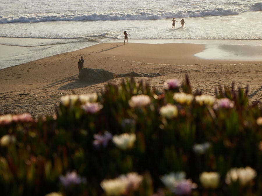 Sunset beach with flowers and people