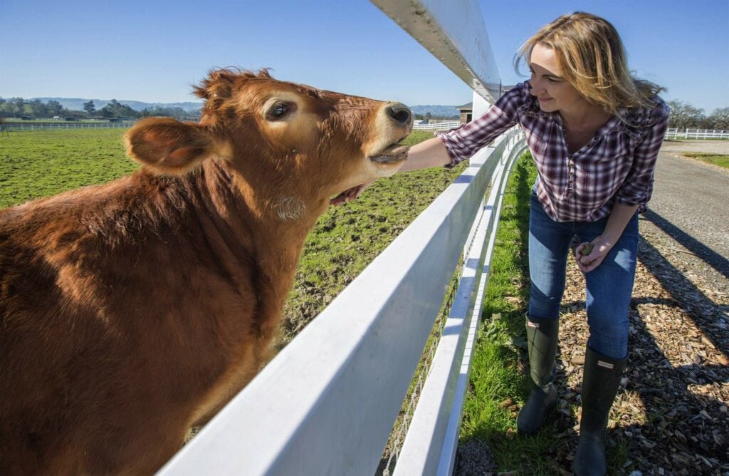 Tracy Vogt with a cow at Charlie's Acres