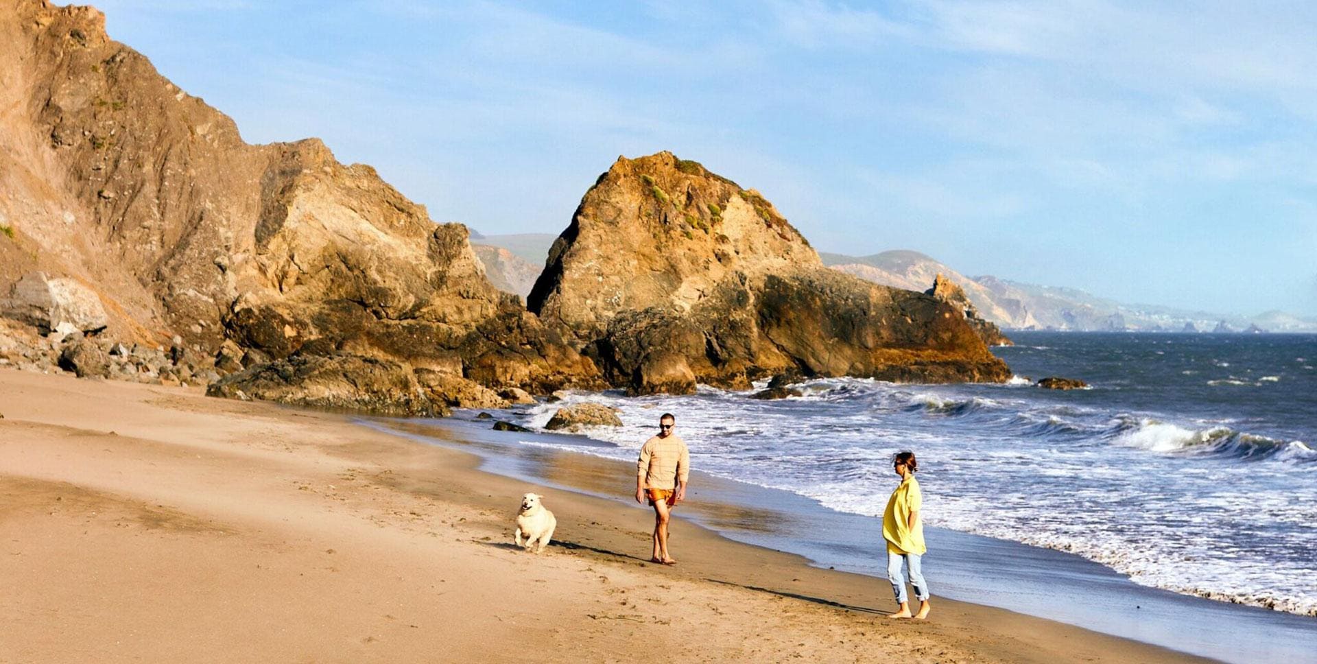 Couple at beach with dog