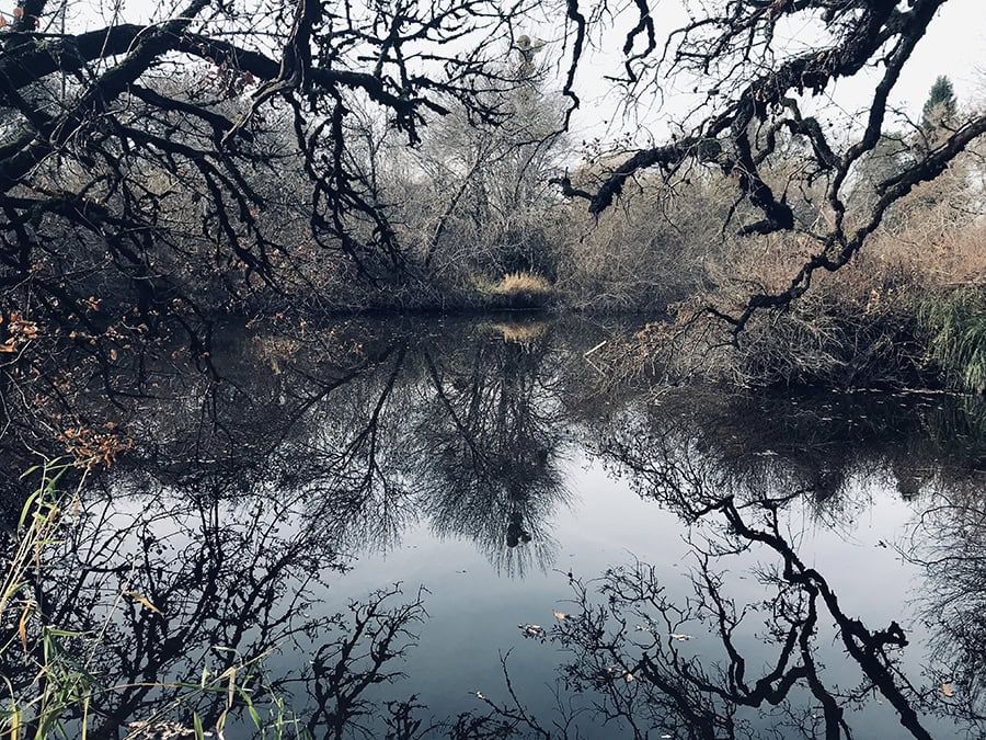 Laguna de Santa Rosa