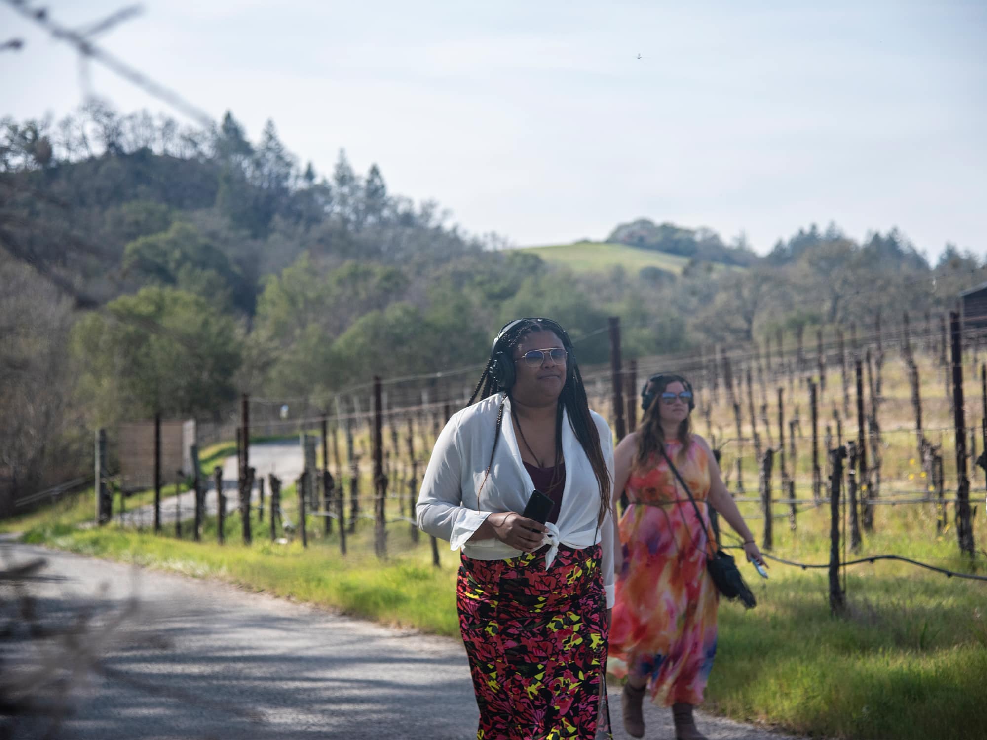 sound immersion in the vineyards of sonoma county