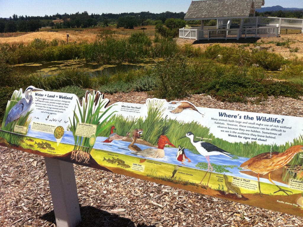 Wildlife Information Plaque in Front of Laguna de Santa Rosa, Sebastopol