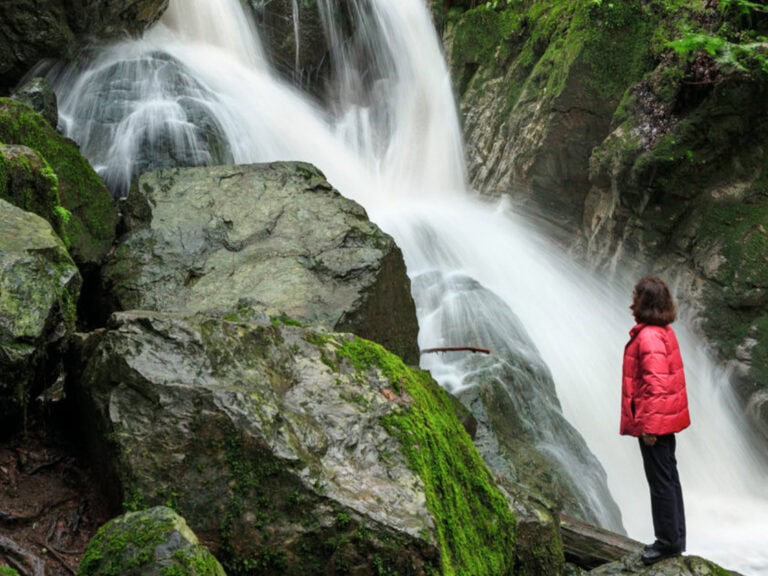 person looking at a waterfall at Sonoma Creek Falls in Sugarloaf Ridge State Park