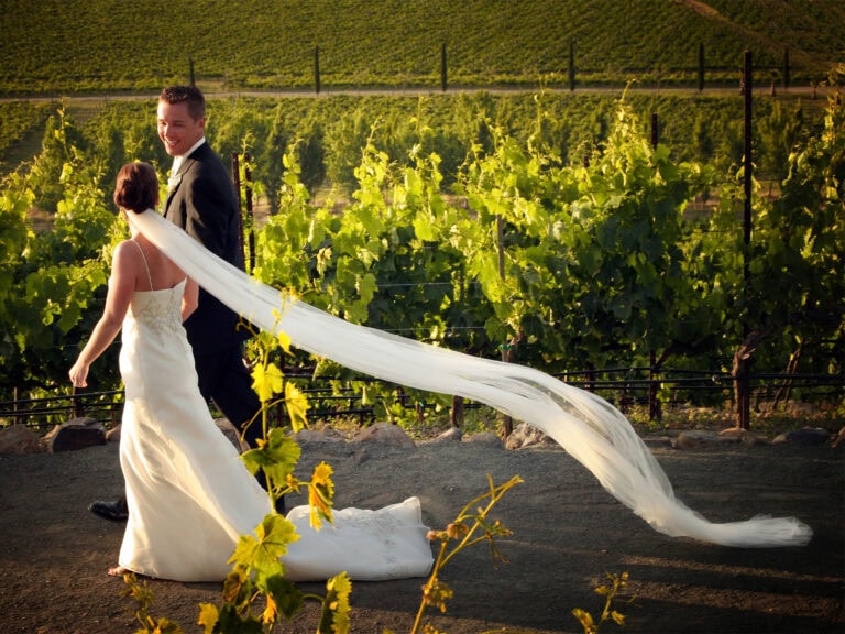 Weddings in Sonoma County