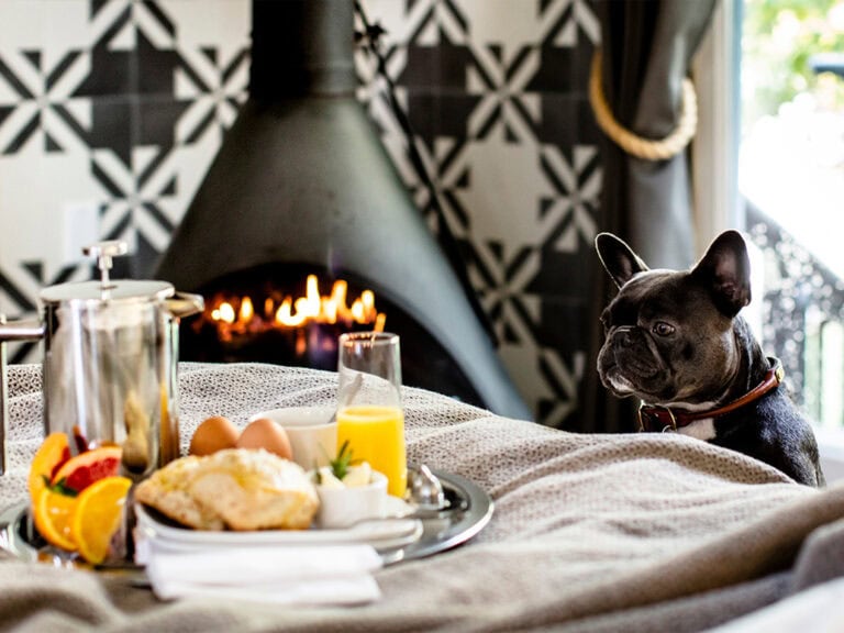 boon hotel, Guernville is dog friendly