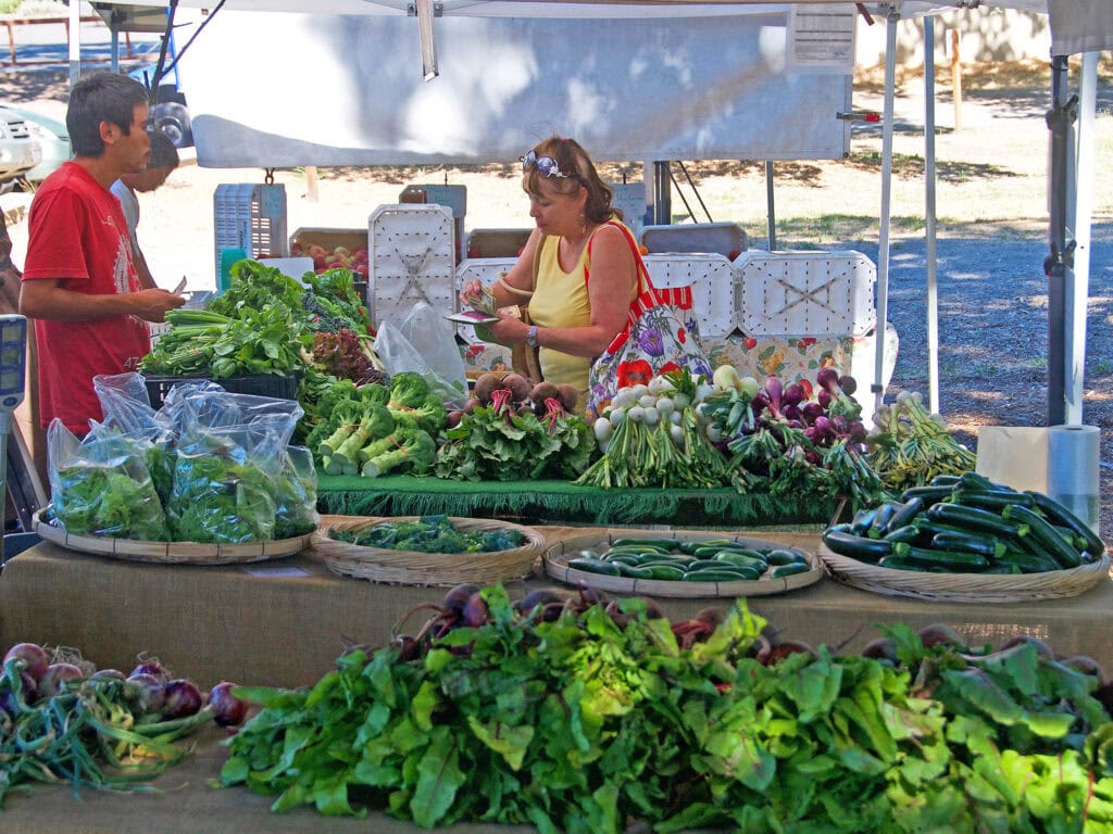 Fresh veggies at the Forestville Farmers Market 