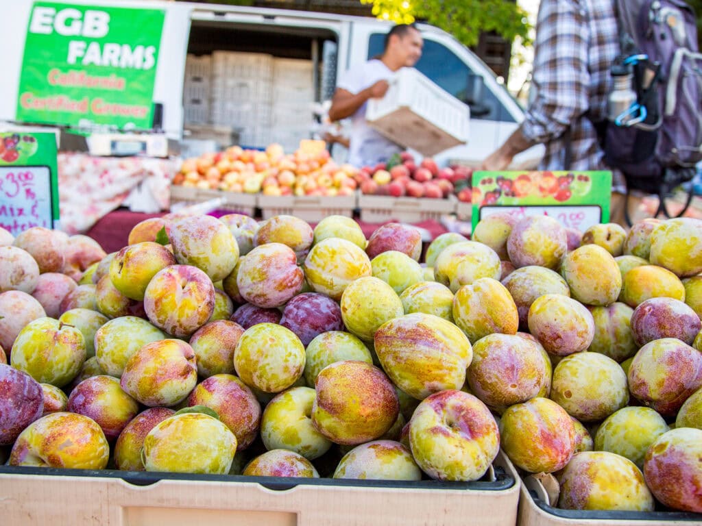 Fresh Fruits at the Santa Rosa Farmers Market 