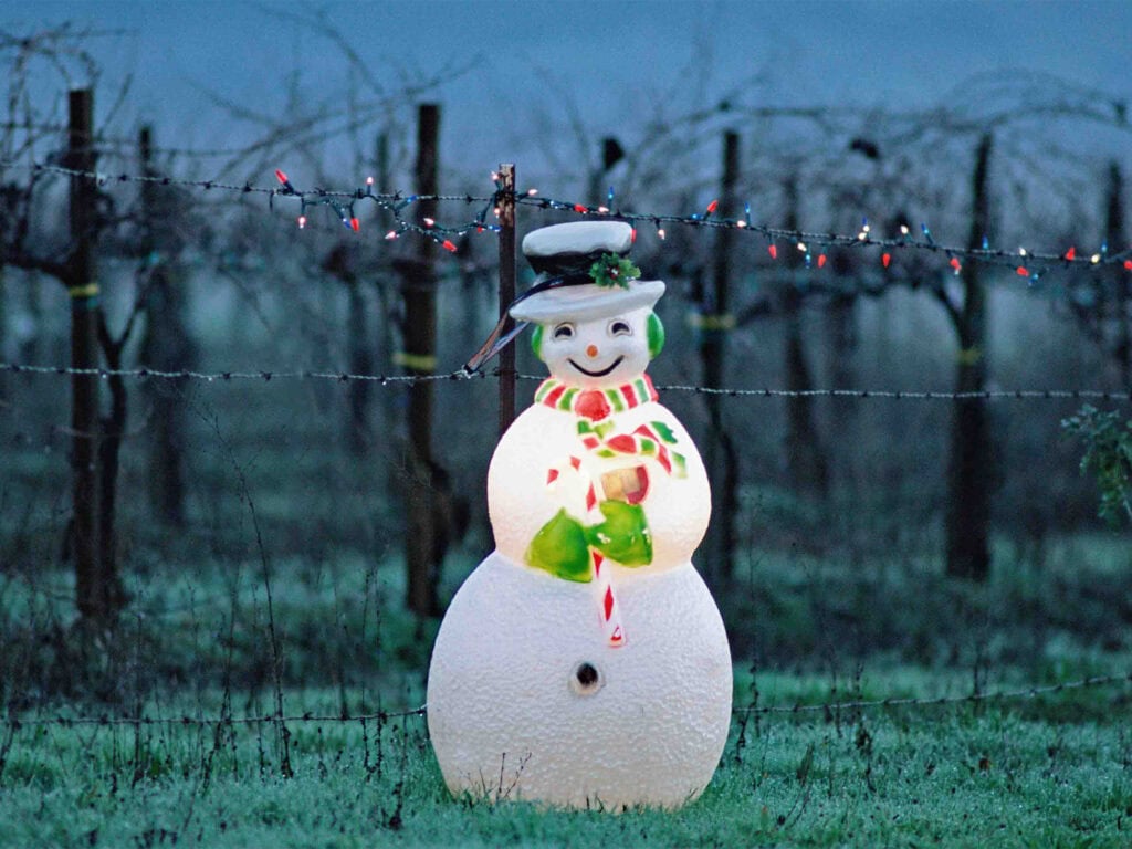 Snowman in the vineyards in Sonoma County