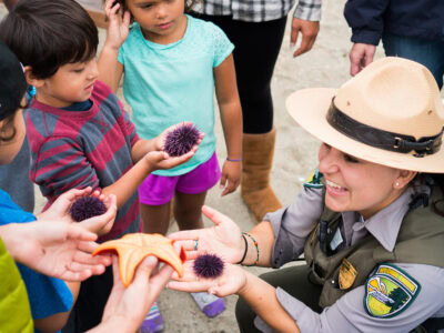 park ranger showing kids the sea life at doran regional park in bodega bay