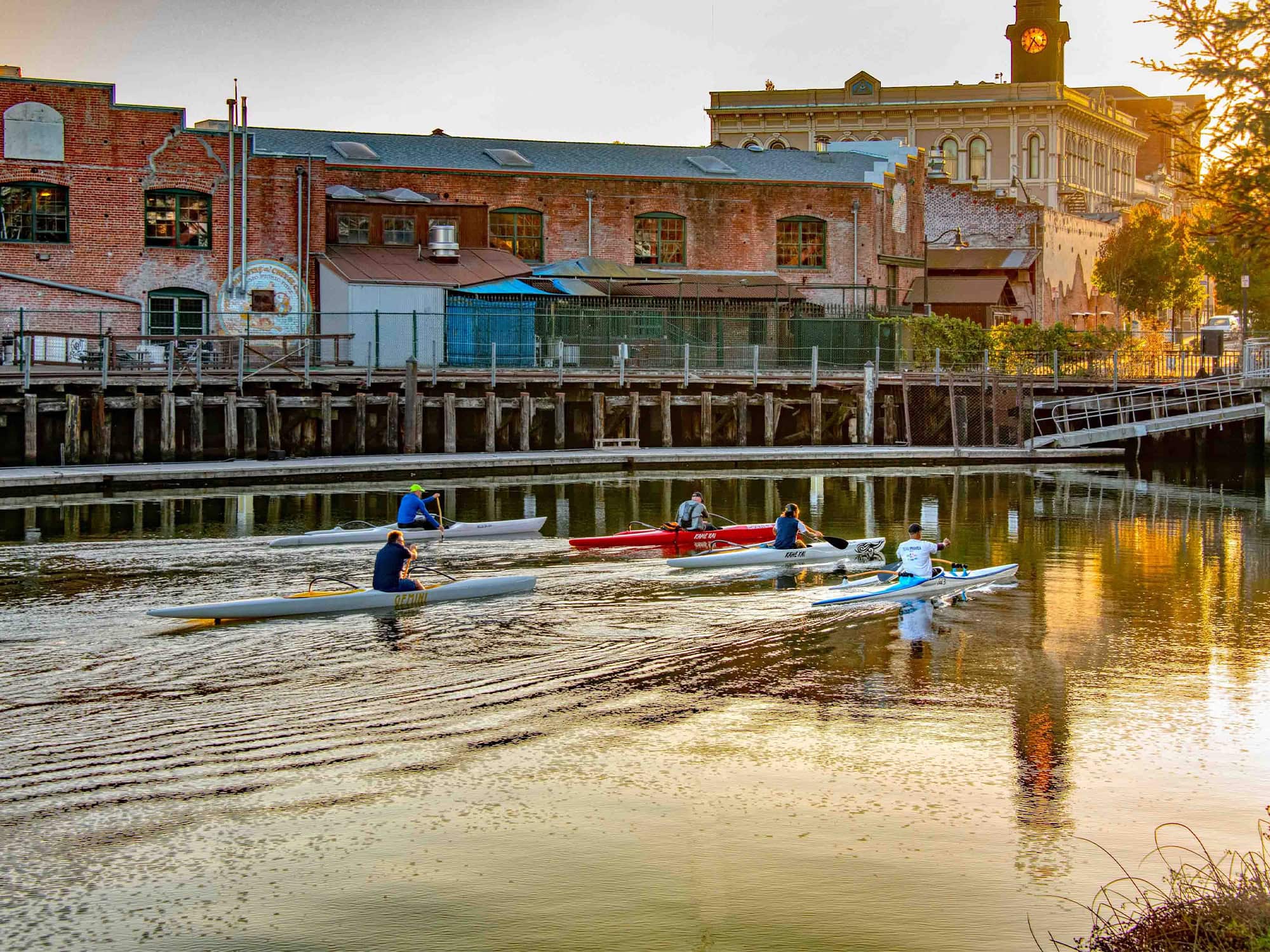 people canoeing the petaluma river