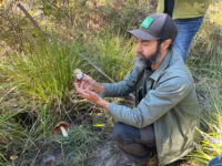 instructor showing and teaching about the mushrooms being forged