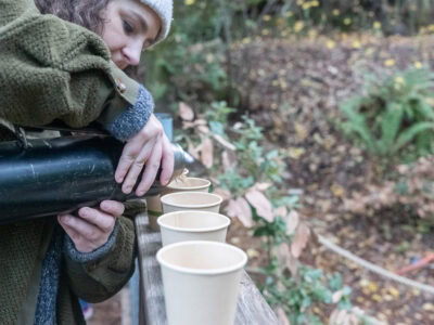 person pouring tea in the redwoods