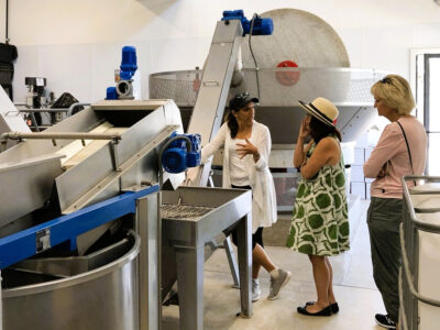 group of visitors learning how olive oil is made