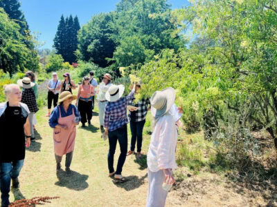 group of visitors visiting a farm learning abut the growing process