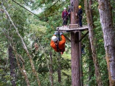 ziplining in the redwoods of sonoma county