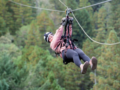 ziplining through the redwoods