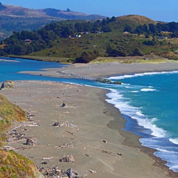 where the Russian River meets Bodega Bay ocean