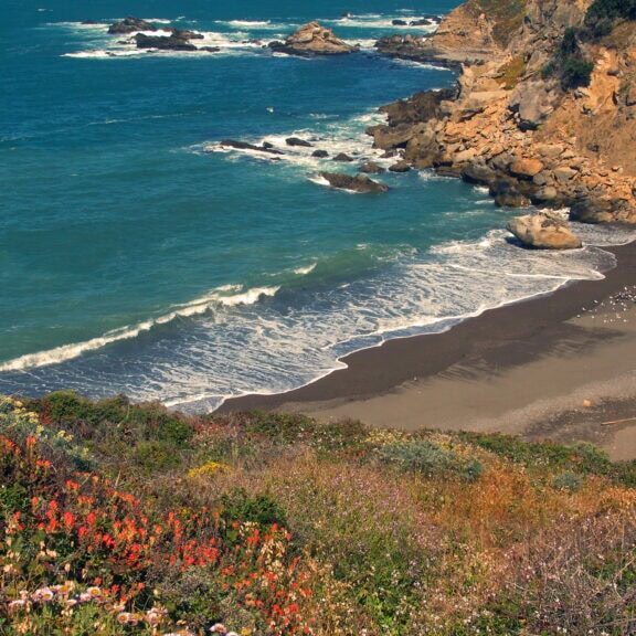 scenery view of the coast at salt point state park