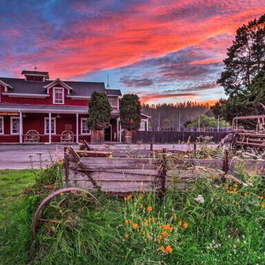 accommodations_casini_ranch_family_campground_duncans_mills_sonoma_county_004