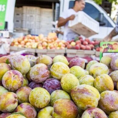 Farmers Market in Santa Rosa