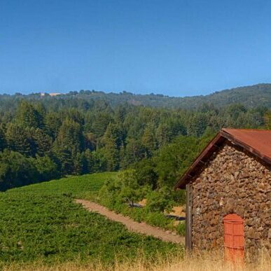 Jack London State Historic Park