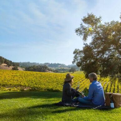 Robert Young Estate Winery, Geyserville 